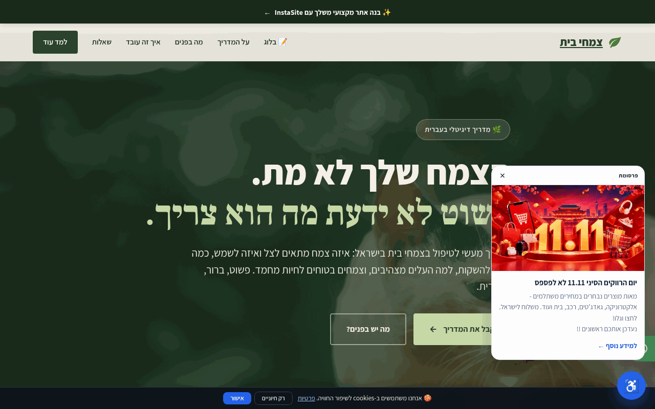 צמחי בית - המדריך המלא